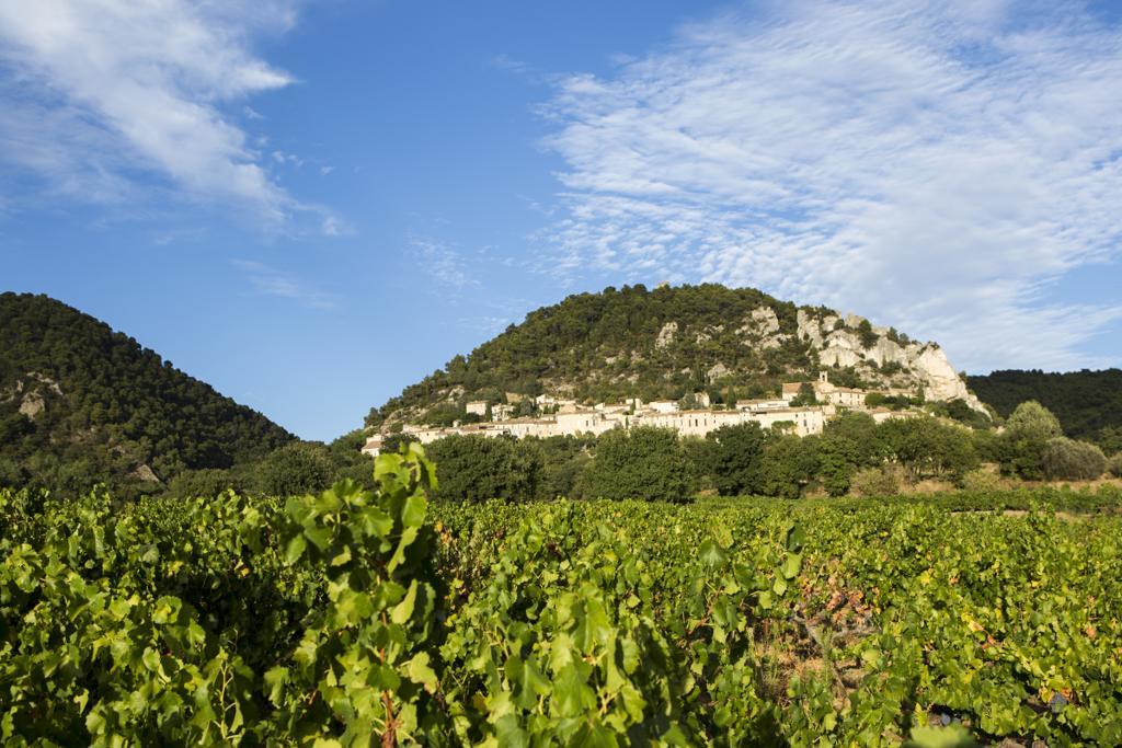 Hotellerie Du Domaine De Cabasse Сегюре Экстерьер фото
